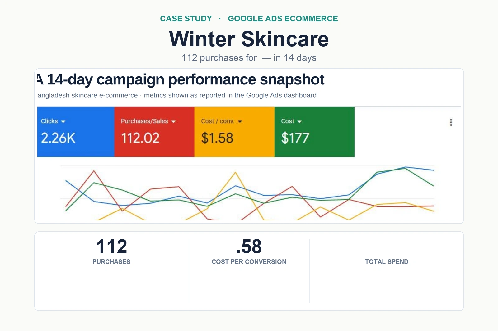 Winter Skincare Google Ads live dashboard showing 112.02 conversions
